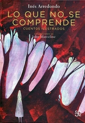 Lo que no se comprende